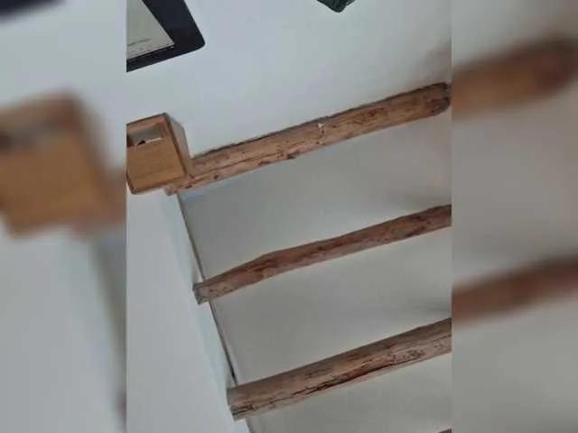 AntoniaDilune on BongaCams