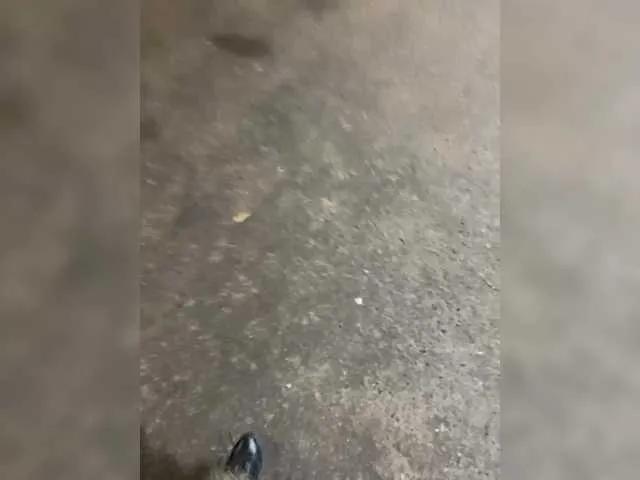 Lisa1225 on BongaCams