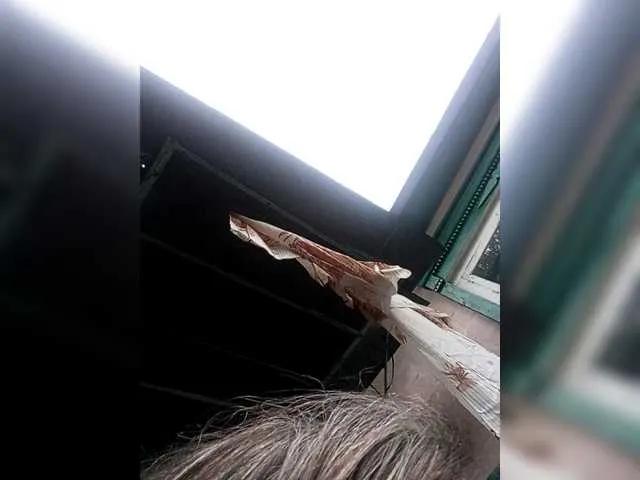 NormaHall on BongaCams