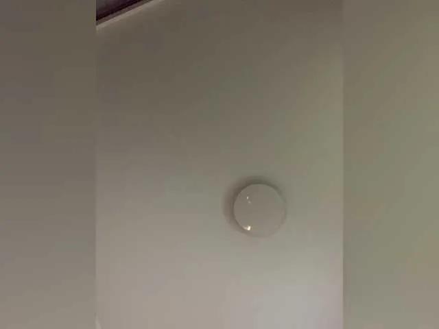 OriginalHOOLi on BongaCams