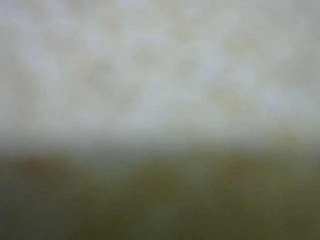 Queenfey on BongaCams