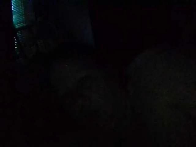 starlight1983 on BongaCams