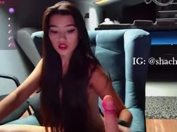 shachatte on Chaturbate