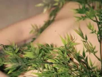 toshimori on Chaturbate