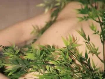 toshimori on Chaturbate