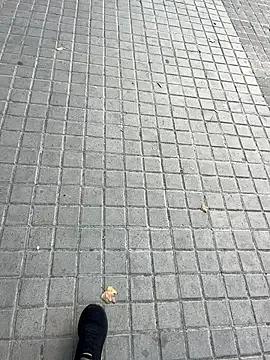 angelitasexy81 on StripChat