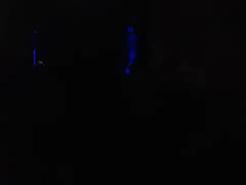 Gabby-Kinky on StripChat