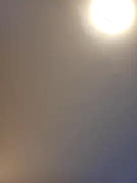 Hornyblond_Bella on StripChat