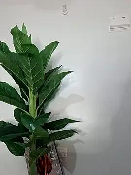 Nubian_Berry on StripChat