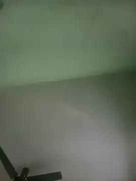 Potti-model-81 on StripChat