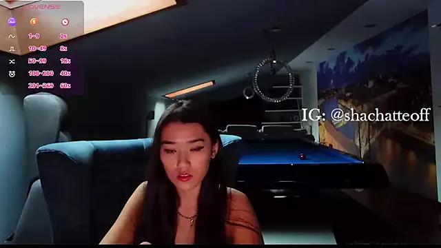 shachatteof on StripChat