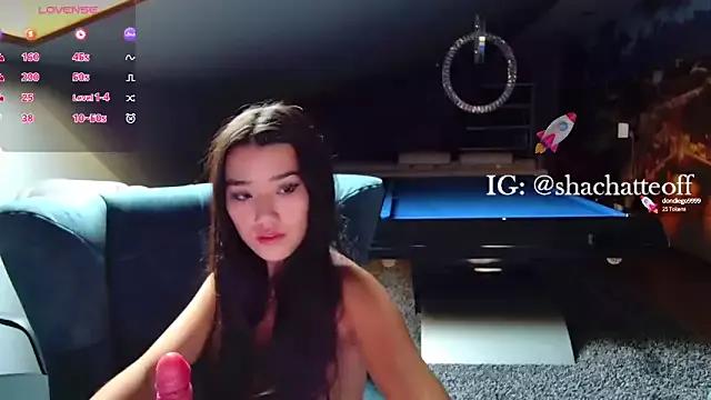 shachatteof on StripChat